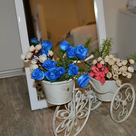 Family Apartment In Avlabari تبليسي المظهر الخارجي الصورة